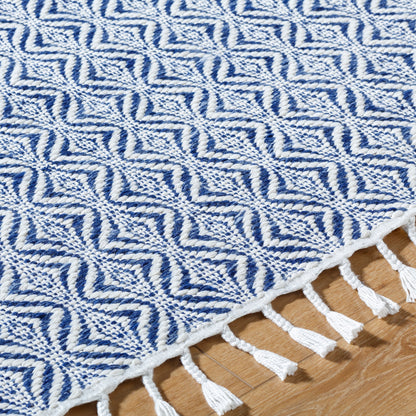 Peony PON-2303 Rug - Blue, White - Chapin Furniture