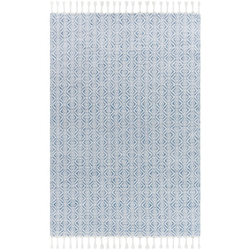 Peony PON-2304 Rug - Blue, White - Chapin Furniture