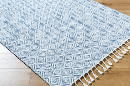 Peony PON-2304 Rug - Blue, White - Chapin Furniture