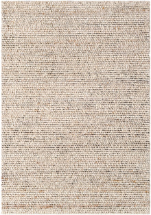 Palisade PSD-2301 Rug- Ivory - Chapin Furniture
