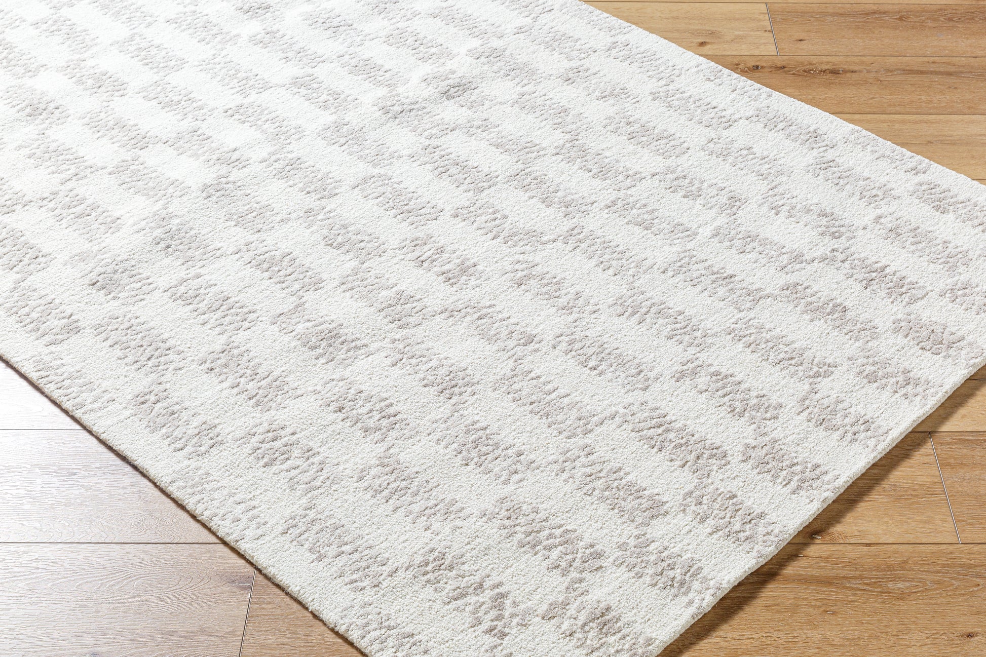 Rize Rug - RZE2300 - Ivory, Beige - Chapin Furniture