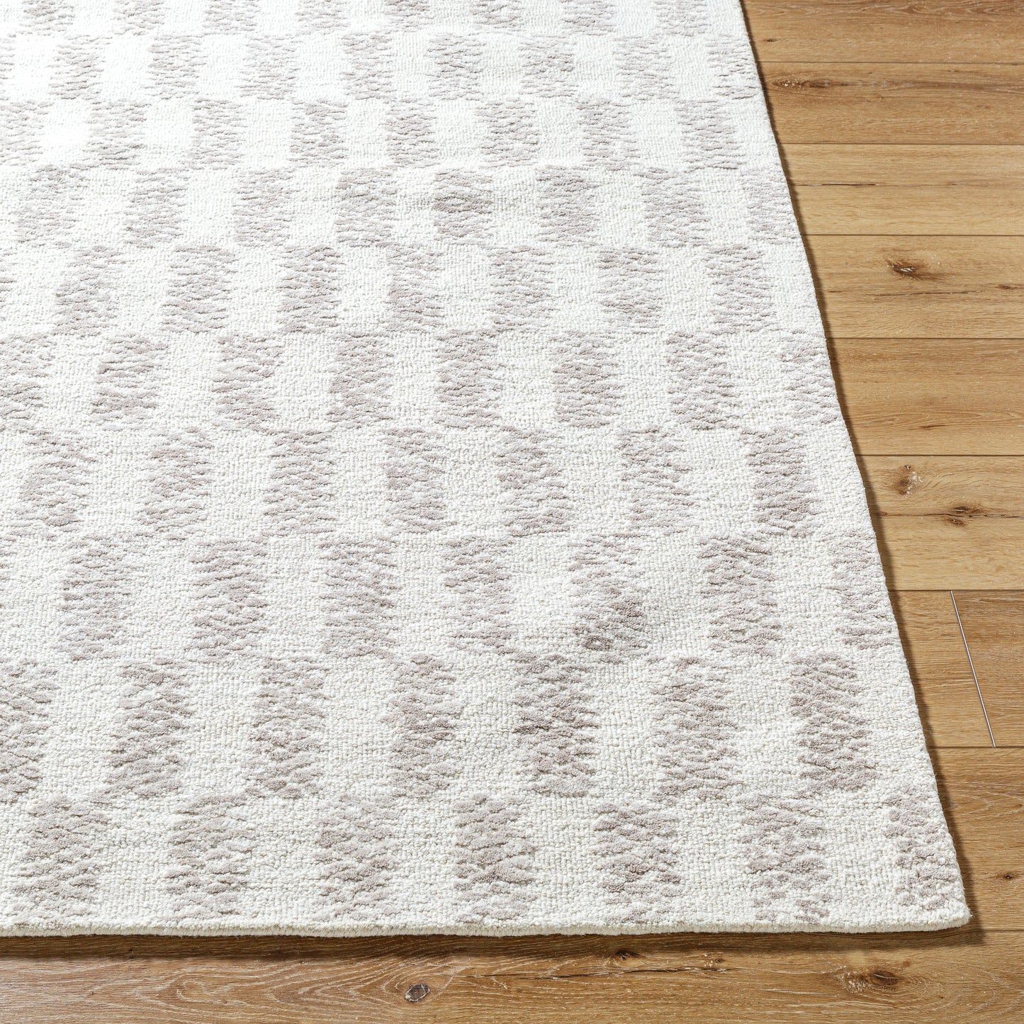 Rize Rug - RZE2300 - Ivory, Beige - Chapin Furniture