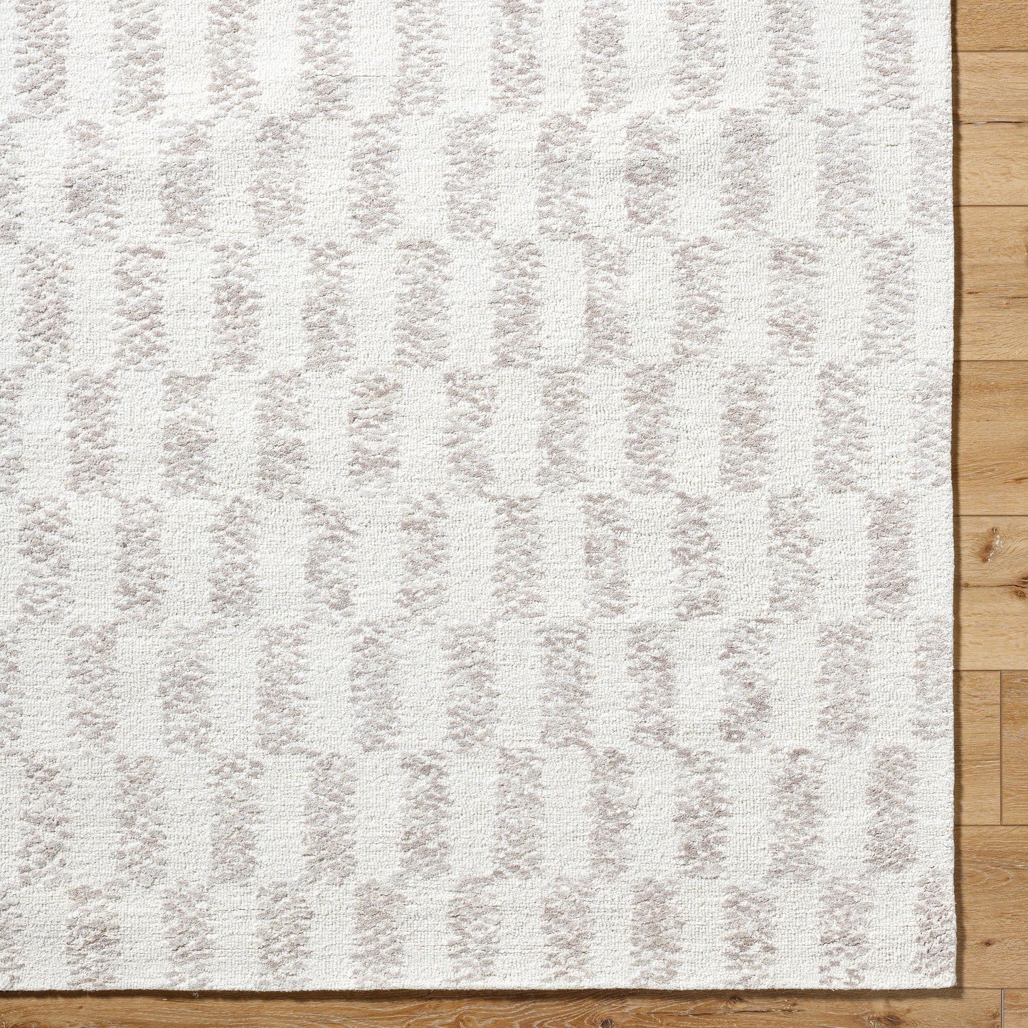 Rize Rug - RZE2300 - Ivory, Beige - Chapin Furniture