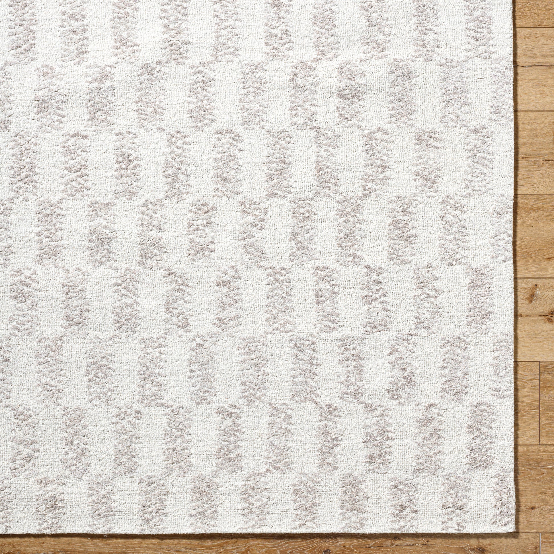 Rize Rug - RZE2300 - Ivory, Beige - Chapin Furniture
