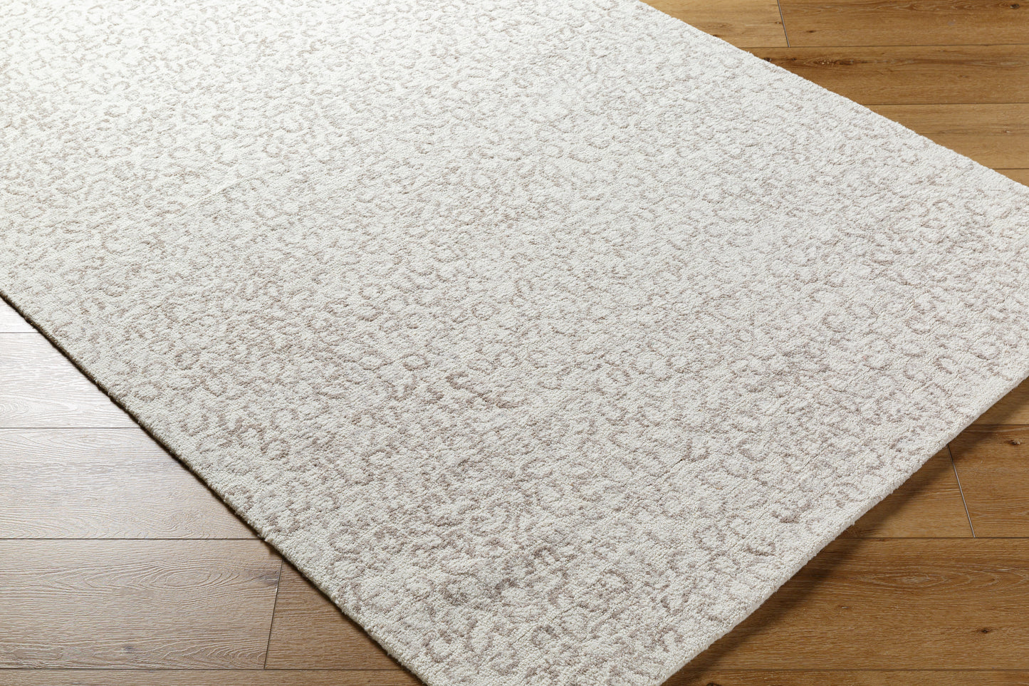 Rize Rug - RZE2308 - Ivory, Beige - Chapin Furniture