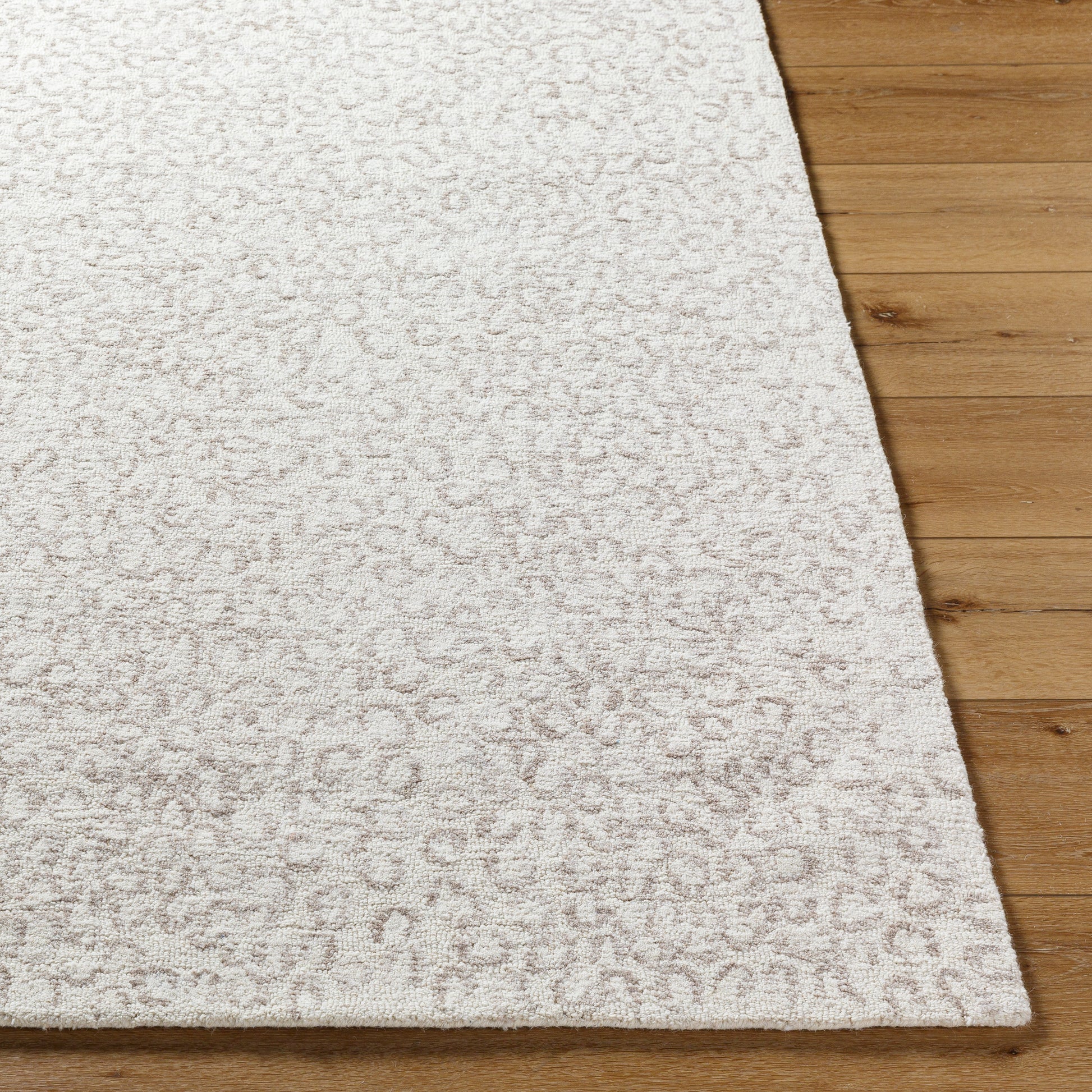 Rize Rug - RZE2308 - Ivory, Beige - Chapin Furniture