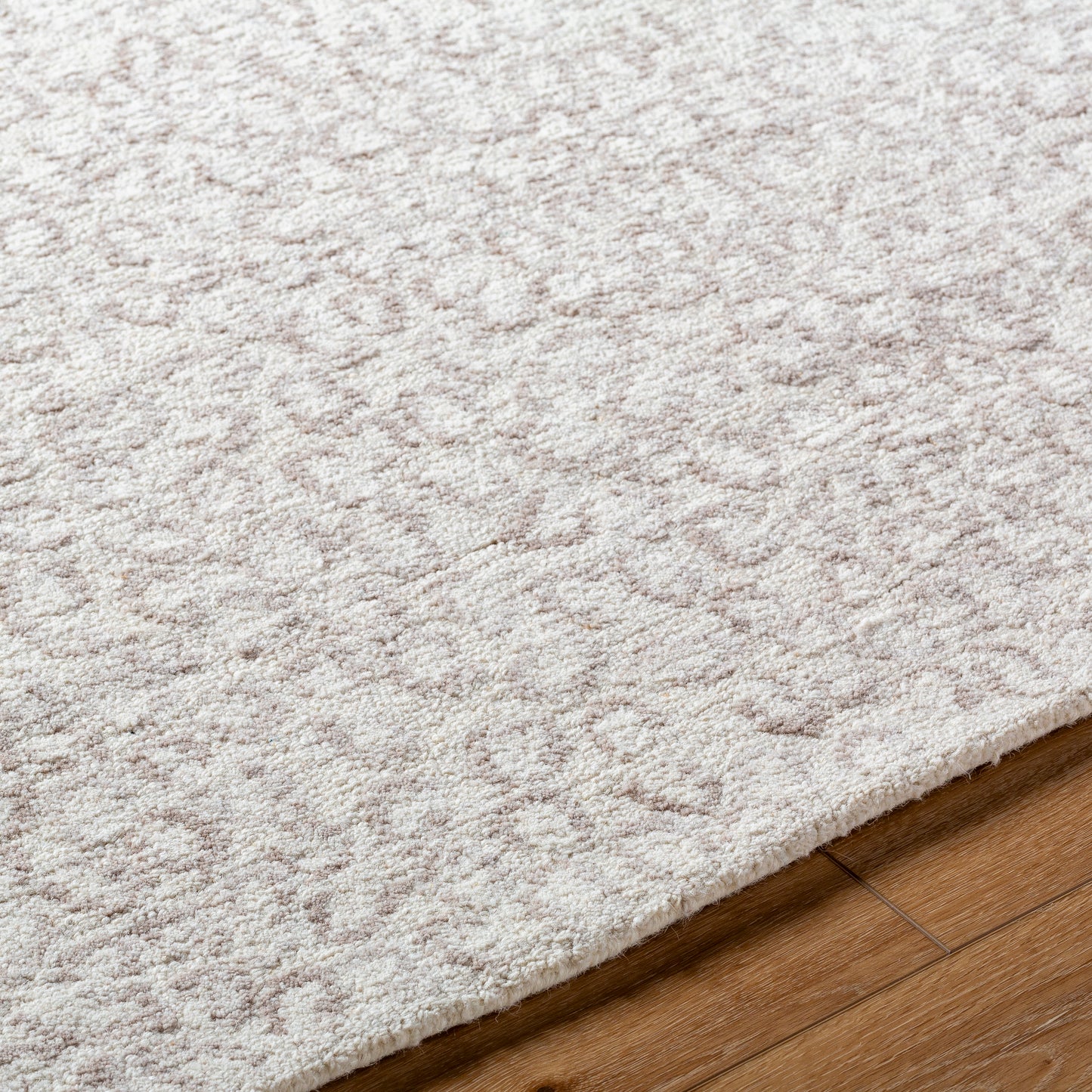 Rize Rug - RZE2308 - Ivory, Beige - Chapin Furniture