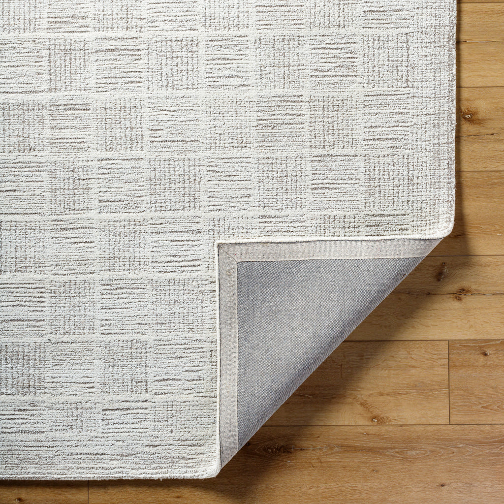 Rize Rug - RZE2311 - Ivory, Gray - Chapin Furniture
