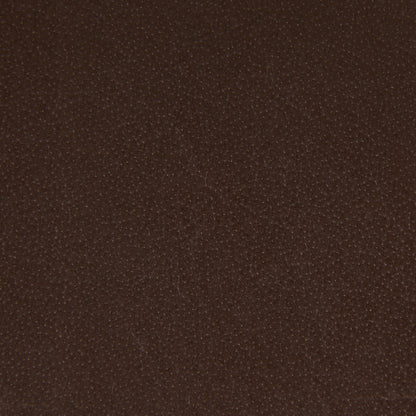 Clarissa Brown Woven Counter Stool - Chapin Furniture