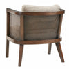 Sonia Accent Chair - Chapin Furniture