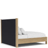 Davie Queen Upholstered Panel Bed - Chapin Furniture