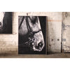 Oil Painting \ Black and White Side View Horse with Silver Frame - Chapin Furniture