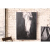Oil Painting \ Black and White Front View Horse with Silver Frame - Chapin Furniture