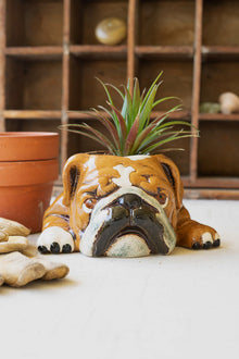 Ceramic Bulldog Planter - Chapin Furniture