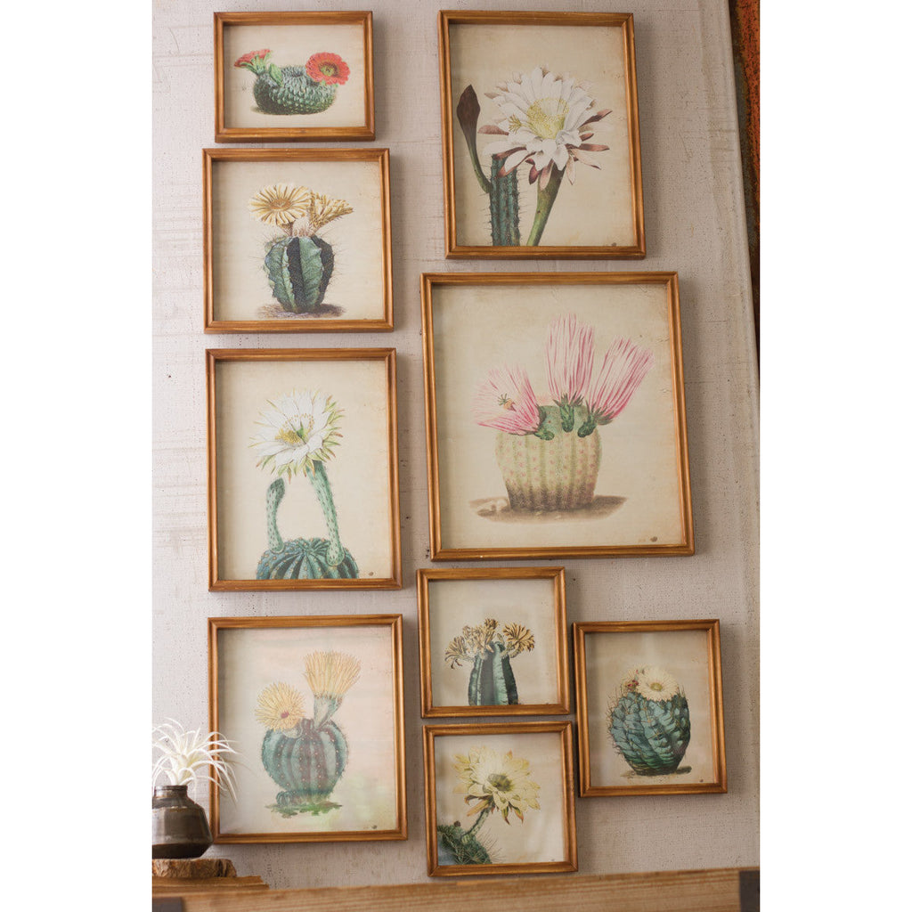 Set of 9 Cactus Flower Prints Under Glass - Chapin Furniture
