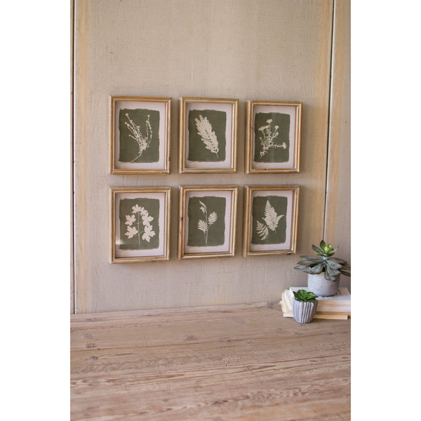 Set of 6 Fern Prints Under Glass - Chapin Furniture