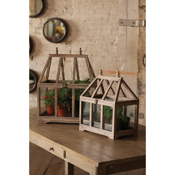 Set of 2 Wood and Glass Terrariums - Chapin Furniture