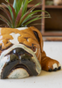 Ceramic Bulldog Planter - Chapin Furniture