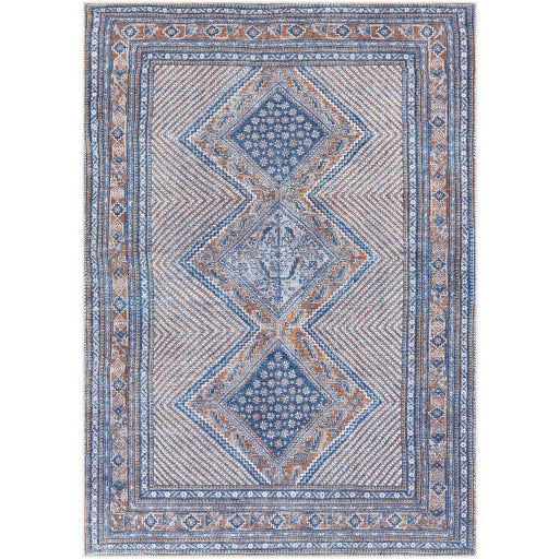 Amelie Rug - Chapin Furniture