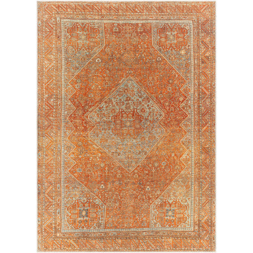 Amelie Rug-2351 - Chapin Furniture