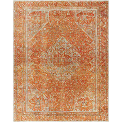 Amelie Rug-2351 - Chapin Furniture