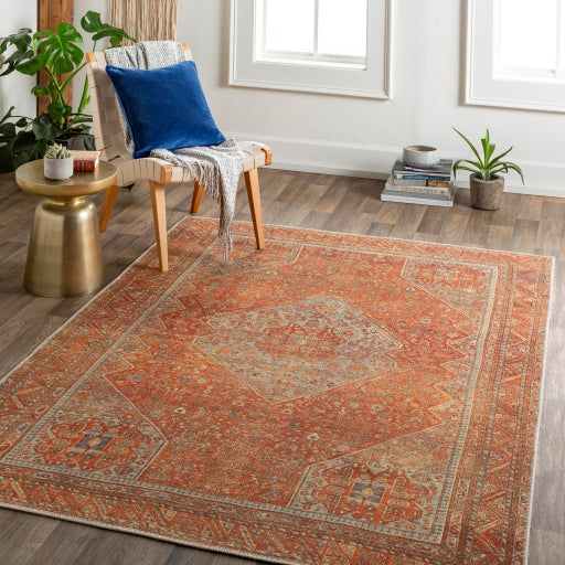Amelie Rug-2351 - Chapin Furniture