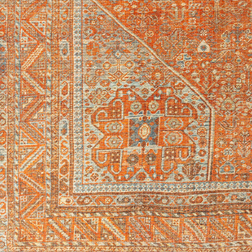 Amelie Rug-2351 - Chapin Furniture
