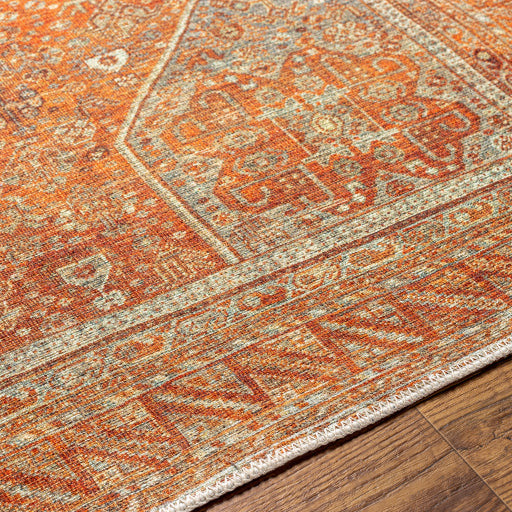 Amelie Rug-2351 - Chapin Furniture