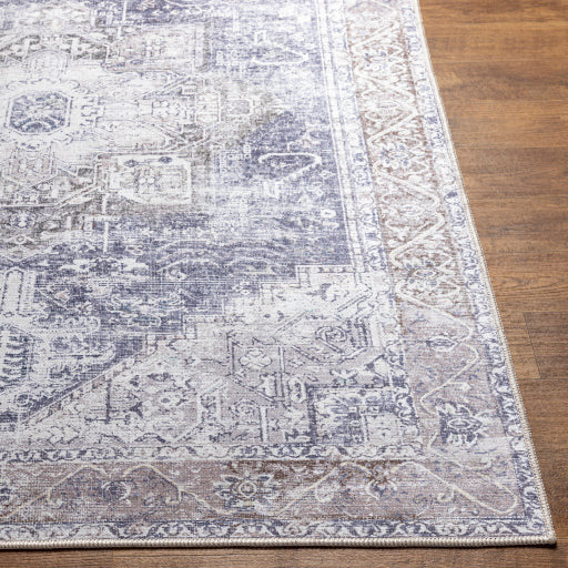 Amelie Rug-2360 - Chapin Furniture