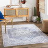 Amelie Rug-2360 - Chapin Furniture