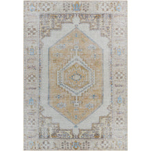 Amelie Rug-2369 - Chapin Furniture