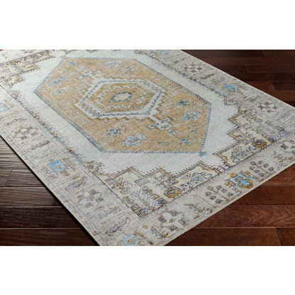 Amelie Rug-2369 - Chapin Furniture