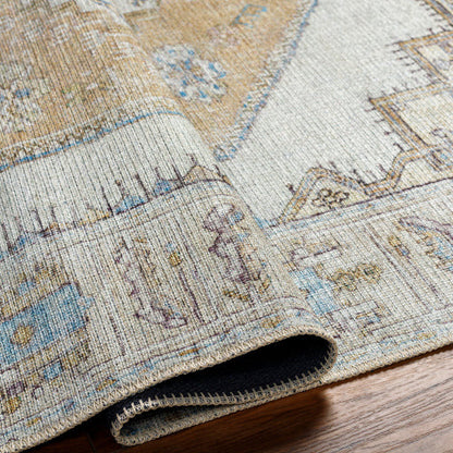 Amelie Rug-2369 - Chapin Furniture