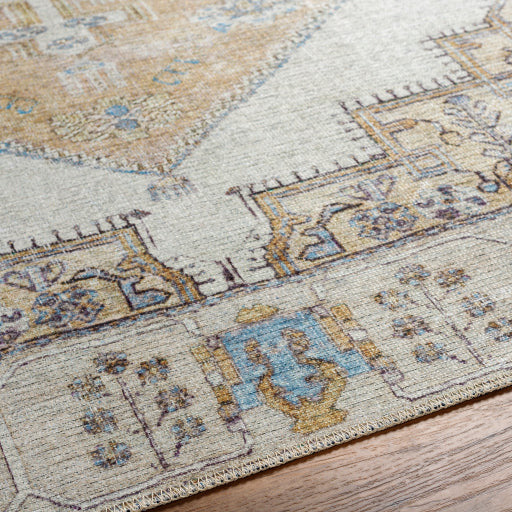Amelie Rug-2369 - Chapin Furniture