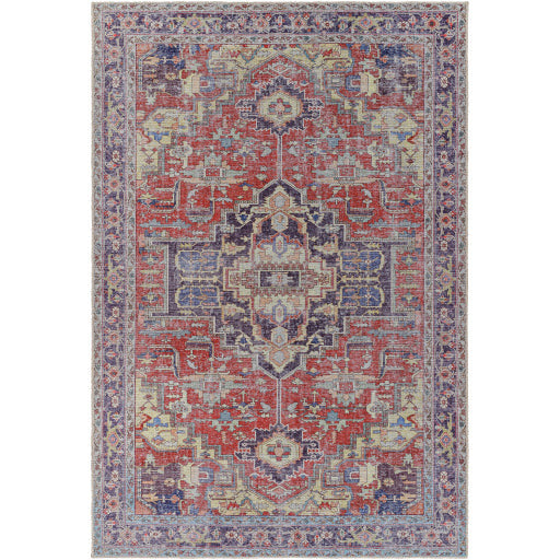 Amelie Rug-2372 - Chapin Furniture