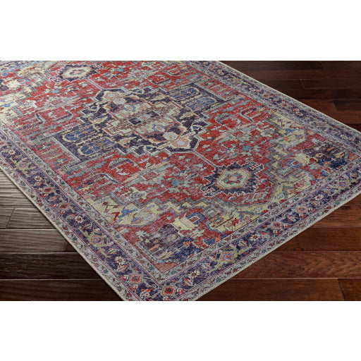 Amelie Rug-2372 - Chapin Furniture