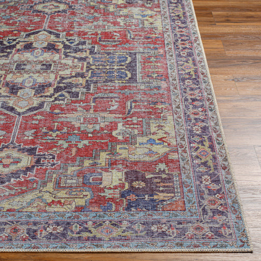 Amelie Rug-2372 - Chapin Furniture