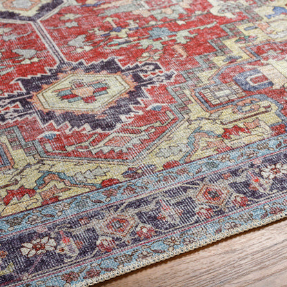 Amelie Rug-2372 - Chapin Furniture