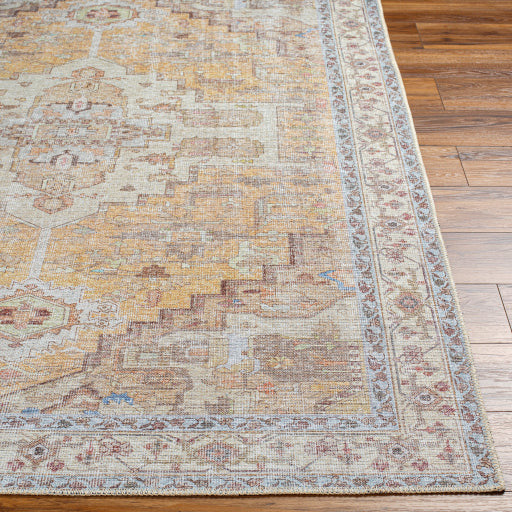 Amelie Rug-2373 - Chapin Furniture