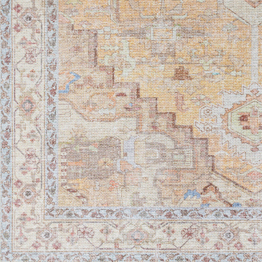 Amelie Rug-2373 - Chapin Furniture