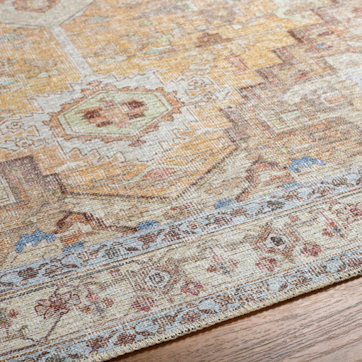 Amelie Rug-2373 - Chapin Furniture