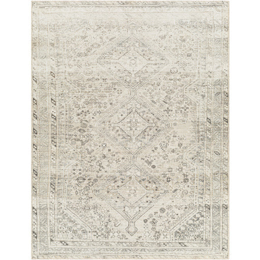 Amelie Rug-2379 - Chapin Furniture