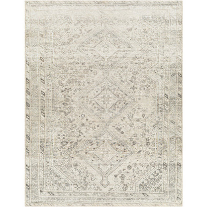 Amelie Rug-2379 - Chapin Furniture