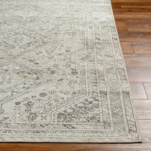 Amelie Rug-2379 - Chapin Furniture
