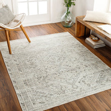 Amelie Rug-2379 - Chapin Furniture