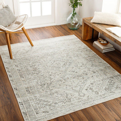 Amelie Rug-2379 - Chapin Furniture