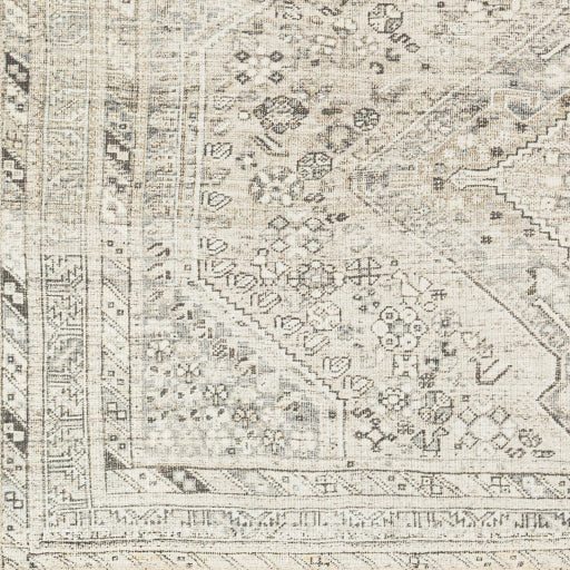 Amelie Rug-2379 - Chapin Furniture