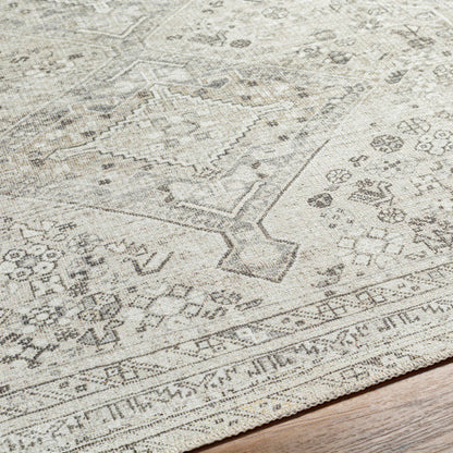 Amelie Rug-2379 - Chapin Furniture