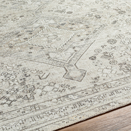 Amelie Rug-2379 - Chapin Furniture
