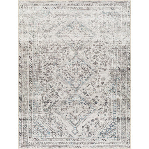 Amelie Rug-2380 - Chapin Furniture